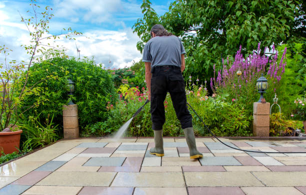 Animal Enclosure Cleaning in Wickes, AR